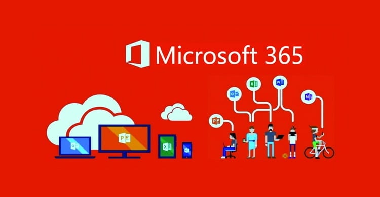 Office 365 Consulting